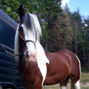 Meet your Posher, Geri